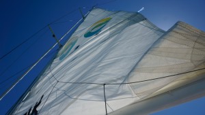 _DSC9461