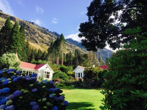 IMG_0913