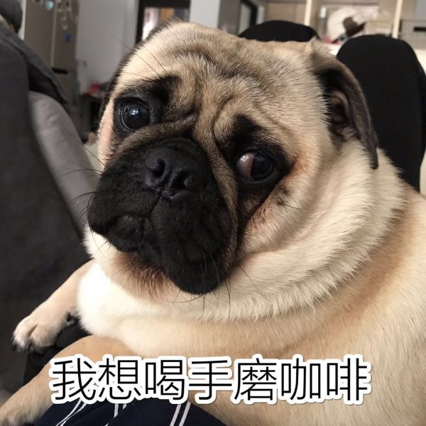 对，就是这只，叫“肠粉”，点击查看视频